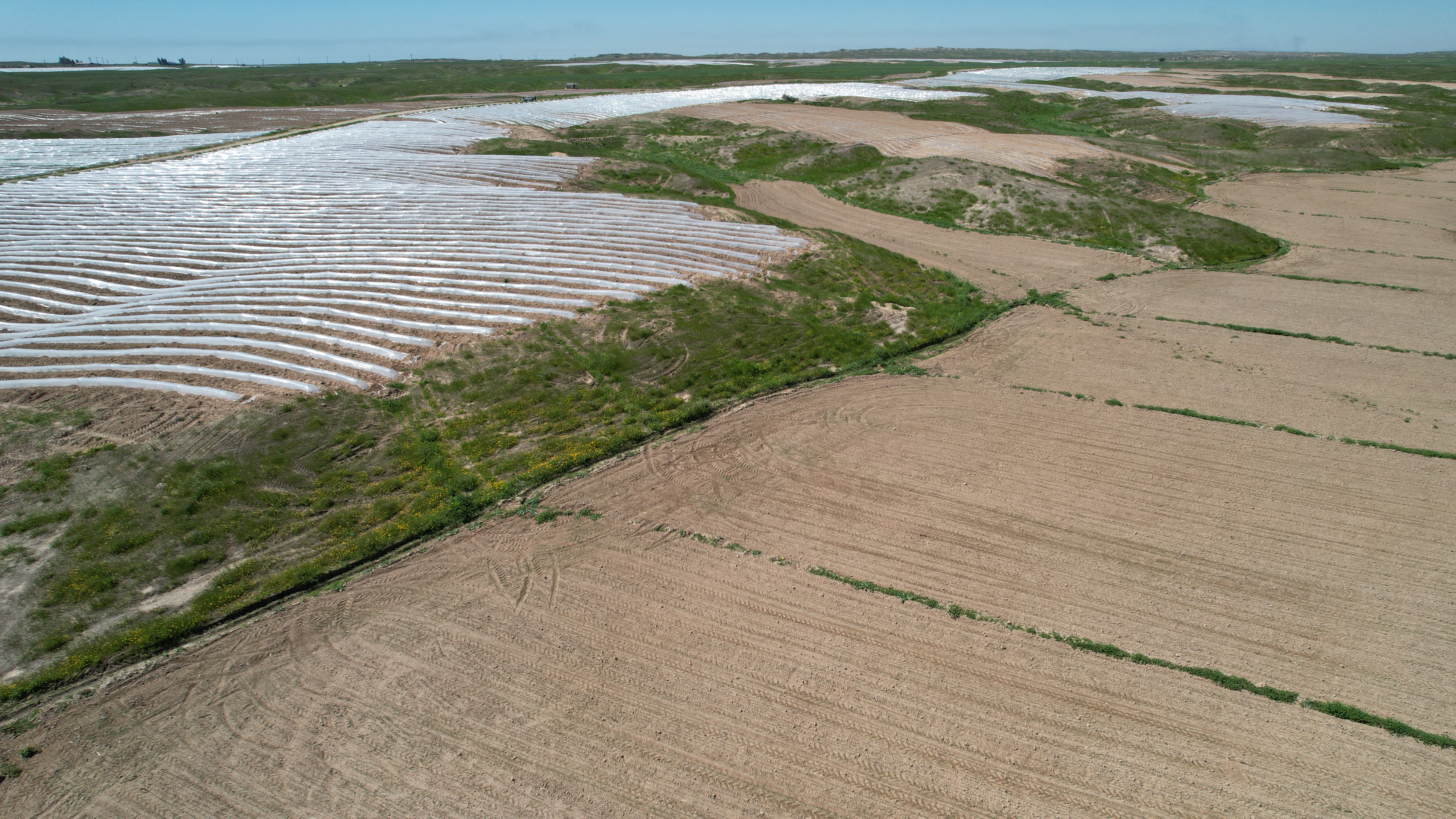 اطلاعات تماس